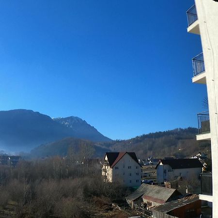 Panoramic Residence Zărneşti 외부 사진