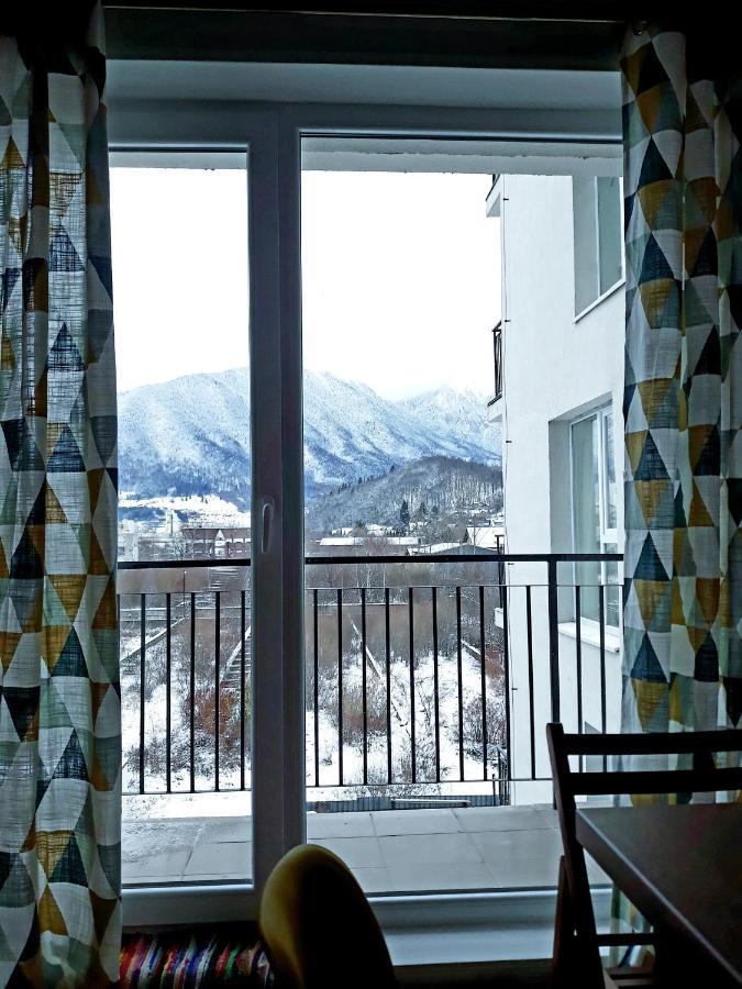 Panoramic Residence Zărneşti 외부 사진