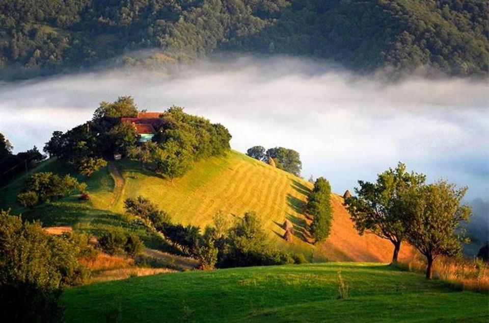Panoramic Residence Zărneşti 외부 사진