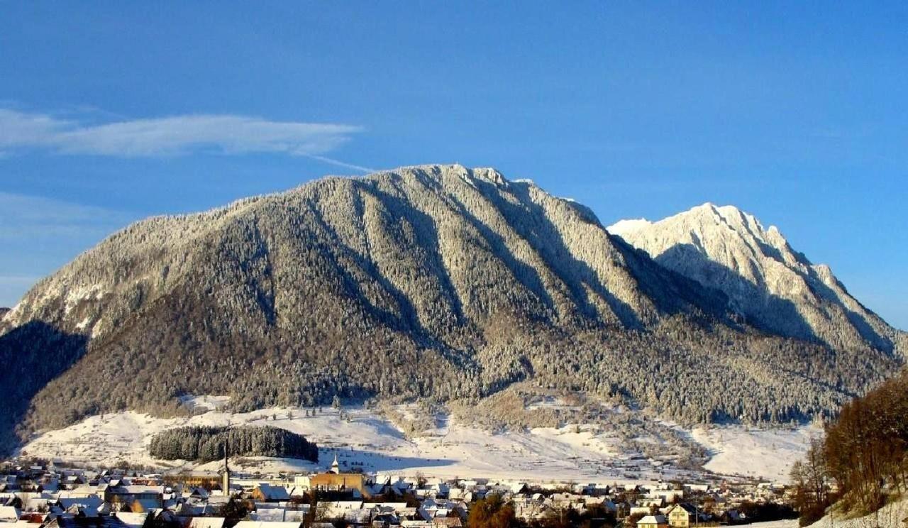 Panoramic Residence Zărneşti 외부 사진