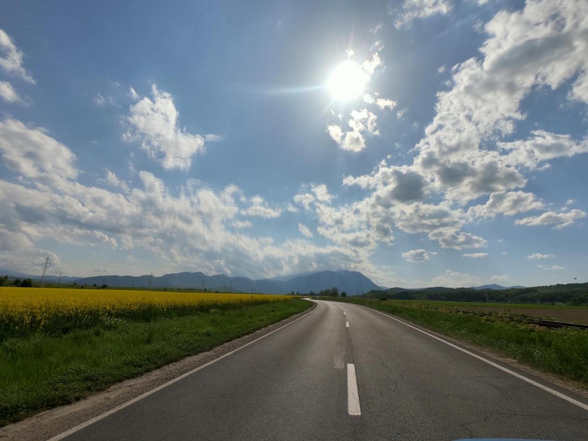 Panoramic Residence Zărneşti 외부 사진