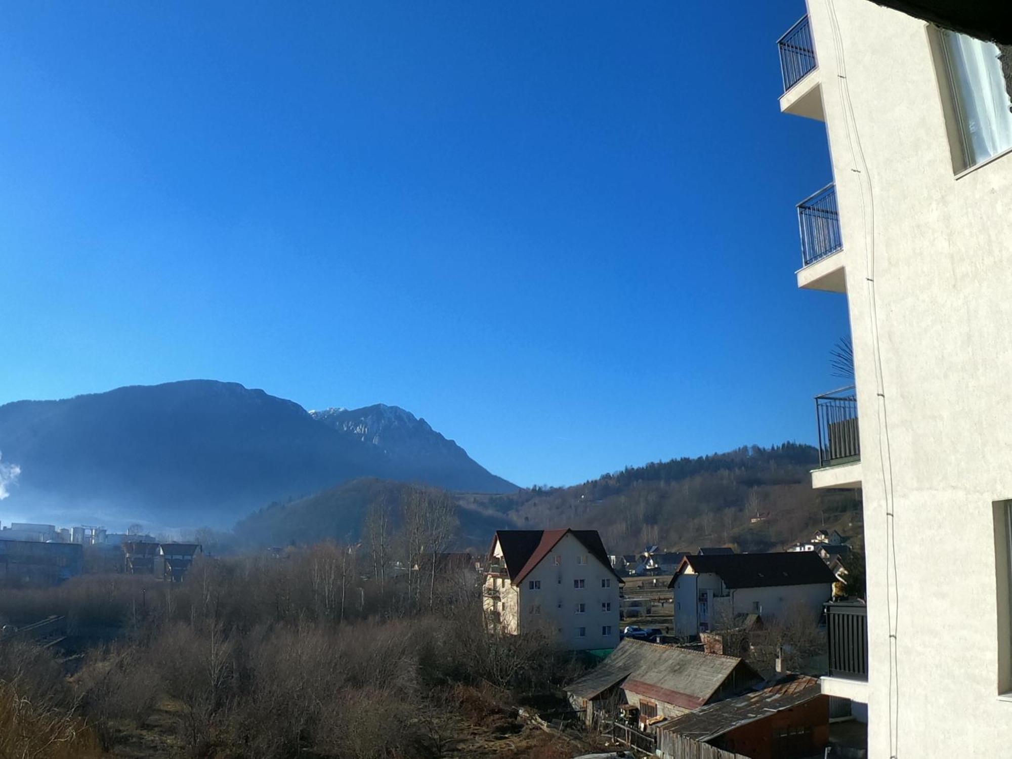 Panoramic Residence Zărneşti 외부 사진